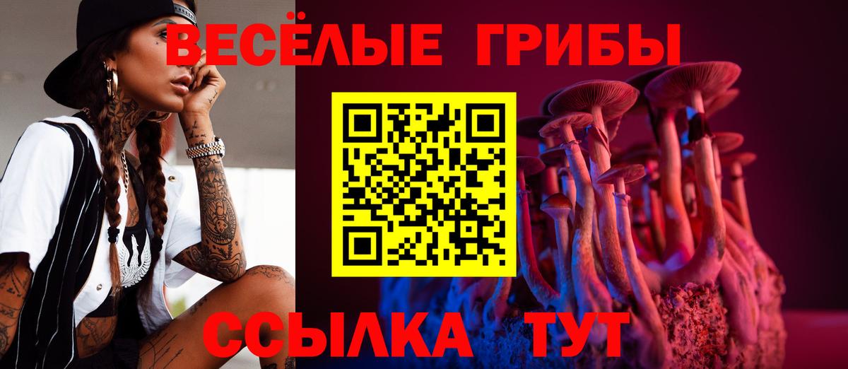 Галлюциногенные грибы прущие грибы  Вход с VPN  Кемерово 